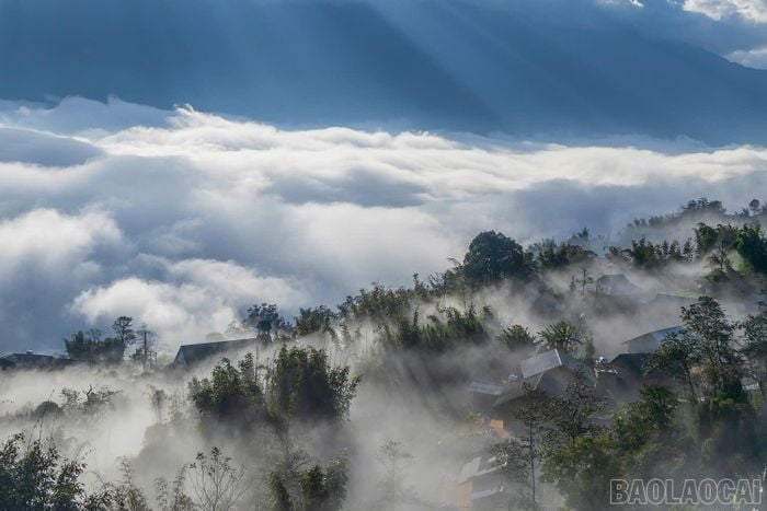 Sapa tháng 11 - Khúc thu ca lãng mạn của sương mù và biển mây